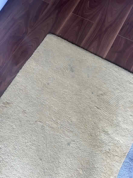 Photo of free Rug (L7) #3