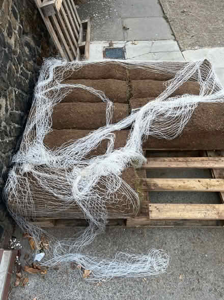 Photo of free 8 rolls of fresh garden turf (NW10) #1