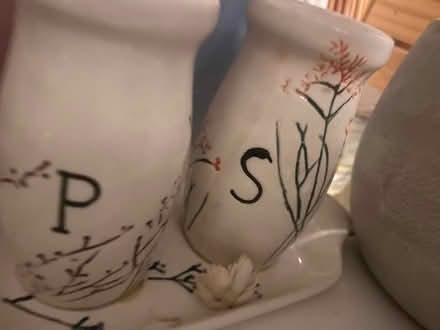 Photo of free salt/pepper shakers with tray (Kemptown BN2) #1
