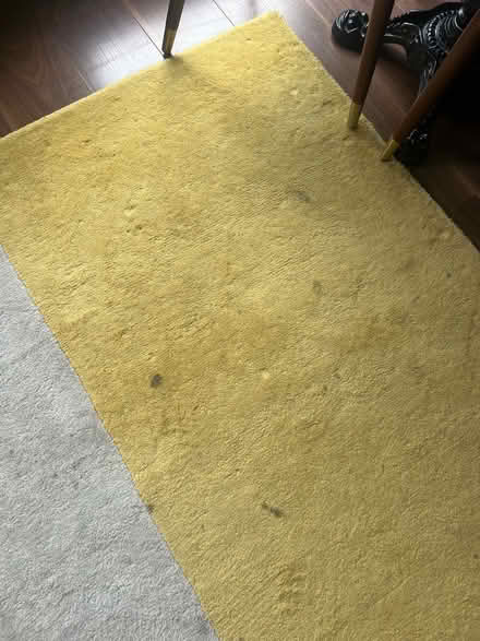 Photo of free Rug (L7) #2