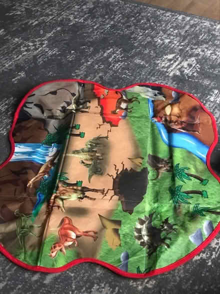 Photo of free Dinosaur storage/playmat (Tooting Broadway SW17) #2