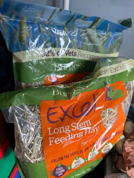 Photo of free Rabbit stuff (Chessington KT9) #3