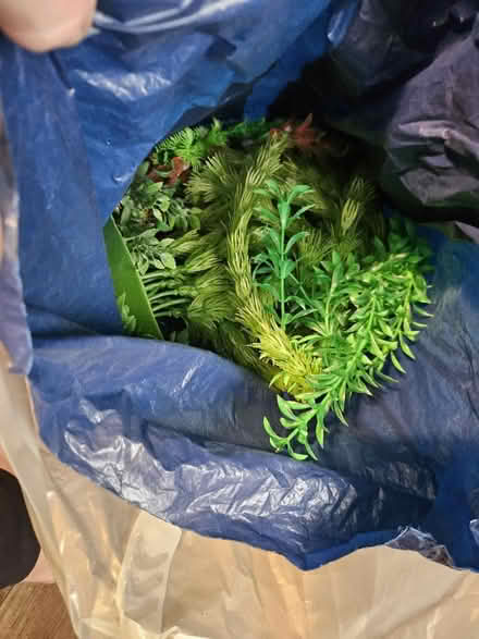 Photo of free Bag full of aquarium plants (Swinton M27) #1