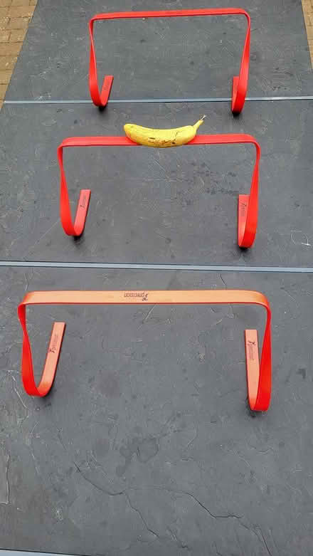 Photo of free Training mini-hurdles (Eynesbury) #1