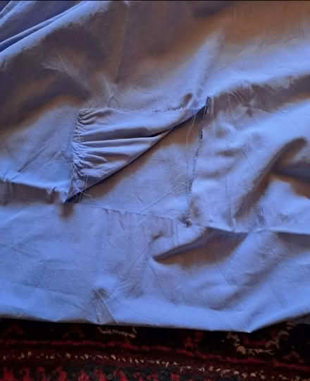 Photo of free King size cotton bed sheet, torn but may be useful fabric (South Gosforth NE3) #1