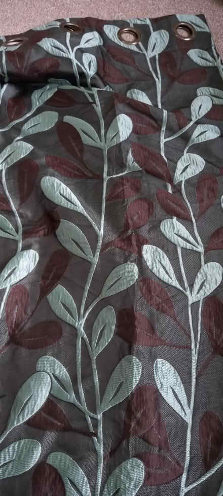 Photo of free Eyelet curtains (Costhorpe S81) #1