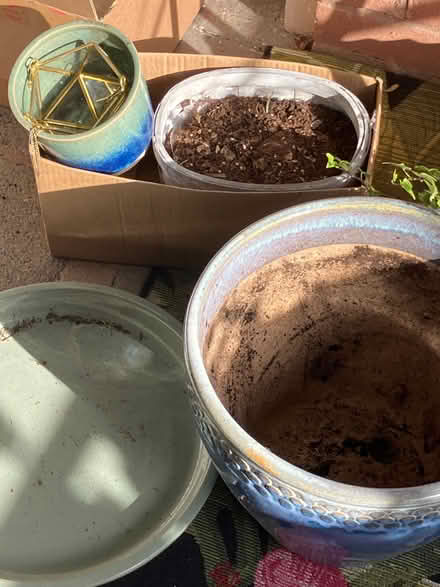 Photo of free Plant pots (Chilwell NG9) #1