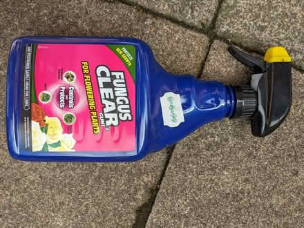 Photo of free Fungicide spray (Fetcham) #1