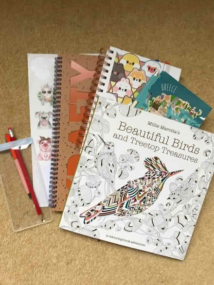 Photo of free Notebooks and mindful colouring (Carter Knowle S7) #1
