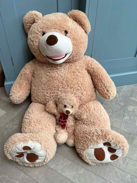 Photo of free Teddy bears (Headington OX3) #1