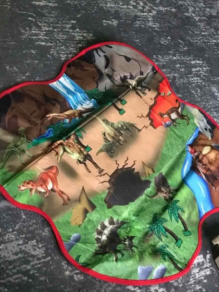 Photo of free Dinosaur storage/playmat (Tooting Broadway SW17) #1