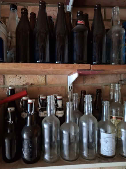 Photo of free Beer bottles (Teversham CB1) #1