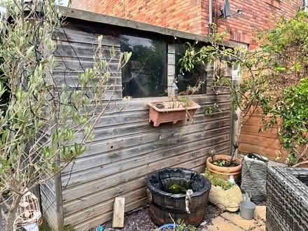 Photo of free Shed - needs dismantling (Studley B80) #3
