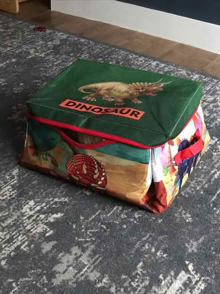 Photo of free Dinosaur storage/playmat (Tooting Broadway SW17) #3