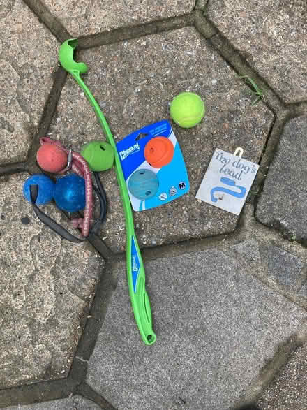Photo of free Dog toys (Hitchin SG4) #1