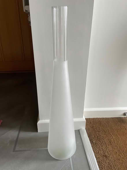 Photo of free Tall Glass Vase (Lee-on-the-Solent PO13) #1