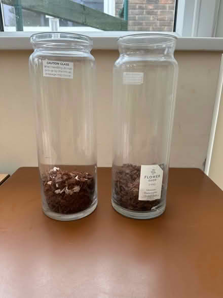 Photo of free 2 Tall Glass Vases (Gloucester GL4) #1