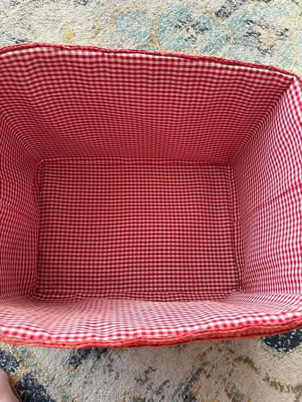 Photo of free Basket with checked lining (hastings TN34) #2