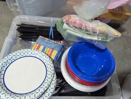 Photo of free party plastic wear and napkins (Hercules) #2