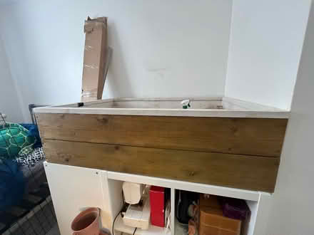 Photo of free Tortoise table/planter/other? (Bn23) #2