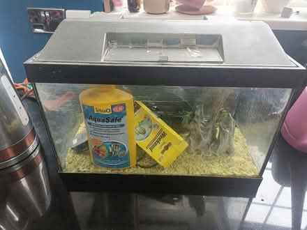 Photo of free Fish tank, pumps, ornaments, food etc (Chalker's Corner TW9) #1