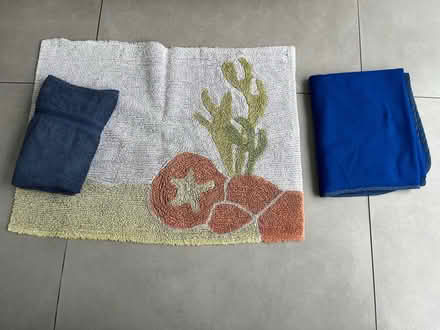 Photo of free Bath mat, towel and fleece blanket (Twickenham TW2) #1