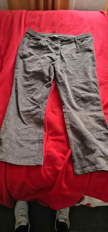 Photo of free Size 18 Cordroy Trouser (Broxtowe NG8) #1