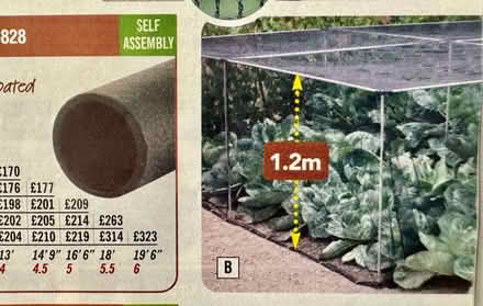 Photo of free 1.2 m H Vegetable Cage (Harrod Horticultural) (Tunbridge Wells S. TN2) #2