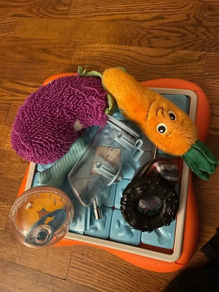 Photo of free Dog toys (Northgate) #1