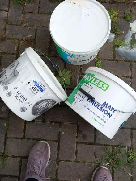 Photo of free Masonry paint and wall paint (Glanmule SY16) #1