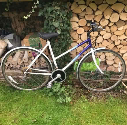 Photo of free Raleigh Pioneer Classic Bike (Aston on Clun SY7) #1