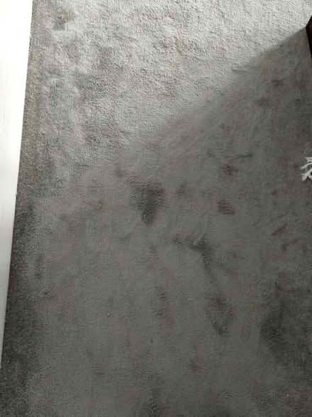 Photo of free Lovely grey carpet (Melton Park NE3) #1