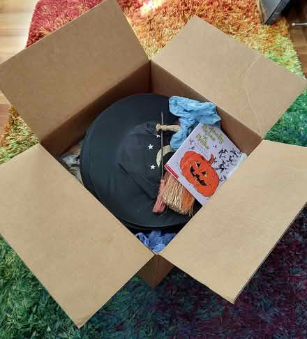 Photo of free Halloween costumes and stuff ((south) Central Park - Denver) #1