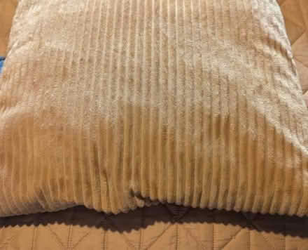 Photo of free 3 x Cushions (Roehampton SW15) #3
