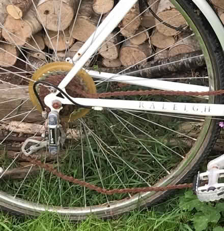 Photo of free Raleigh Pioneer Classic Bike (Aston on Clun SY7) #2