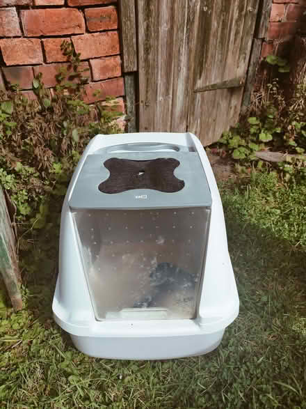 Photo of free Cat Litter Tray (Canonmills EH3) #1