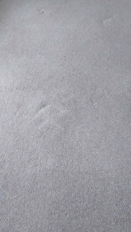 Photo of free Used Carpet (Lower Nazeing EN9) #2