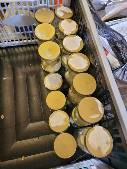Photo of free Mini glass jars with lids (Irvine KA11) #1