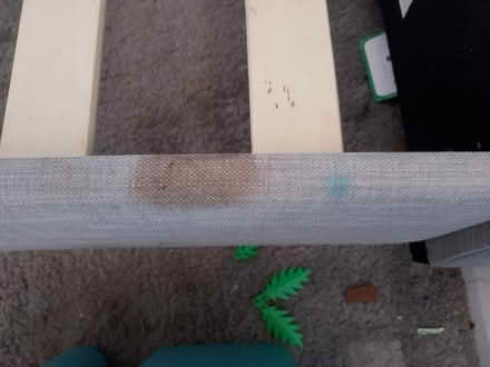Photo of free X2 single grey beds (Woking) #4