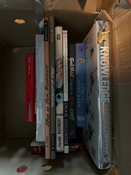 Photo of free Children’s books (4 boxes) (E8 London) #4