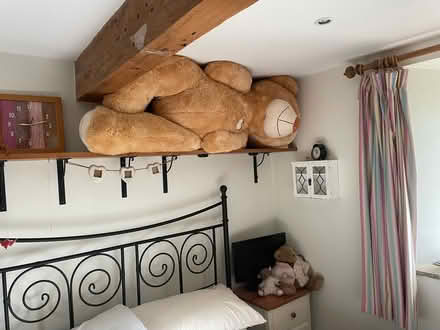 Photo of free Very large Teddy (Dutton PR3) #1