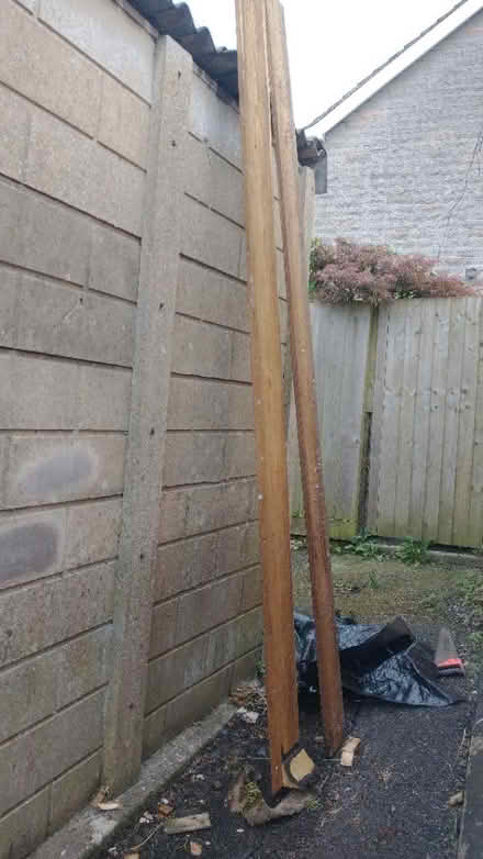 Photo of free Planks (BA11) #2