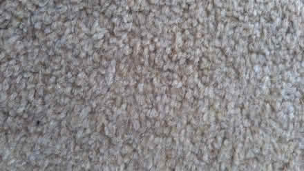 Photo of free Used Carpet (Lower Nazeing EN9) #1