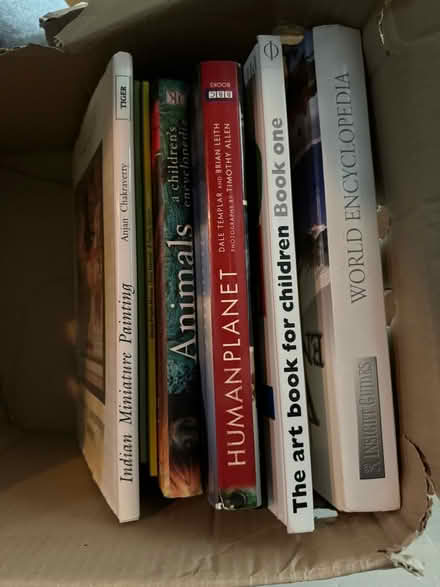 Photo of free Children’s books (4 boxes) (E8 London) #2