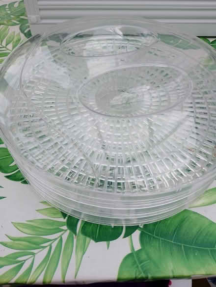 Photo of free Dehydrator trays with lid (Barry) #1