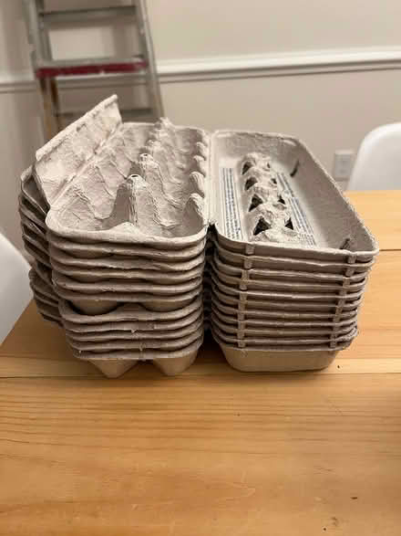 Photo of free Egg Cartons (Germantown) #1