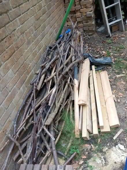 Photo of free Wood cut-offs (Lewisham SE13) #1