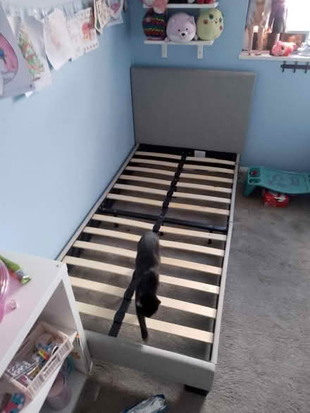 Photo of free X2 single grey beds (Woking) #2