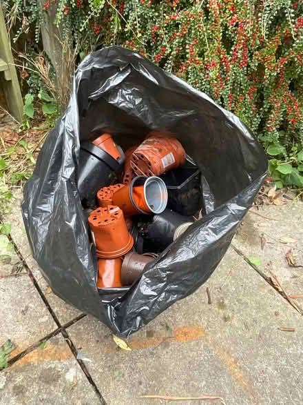 Photo of free Small plant pots (Kingswood) #1