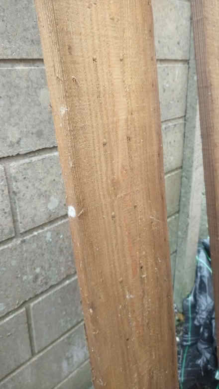 Photo of free Planks (BA11) #1
